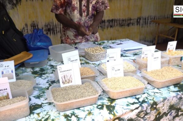 16e édition de la foire aux semences : la souveraineté alimentaire du Burkina Faso comme centre d’intérêt