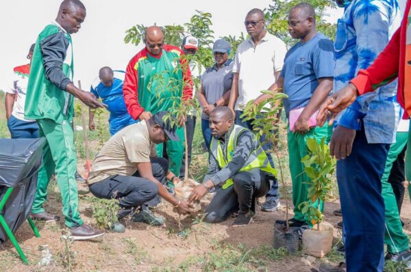 Journée nationale de l&rsquo;Arbre 2026 : le MCCAT mise sur une reforestation durable et utile