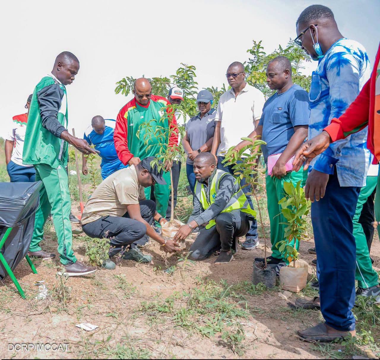 Journée nationale de l&rsquo;Arbre 2026 : le MCCAT mise sur une reforestation durable et utile
